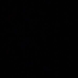 Meet your Posher, Dennis